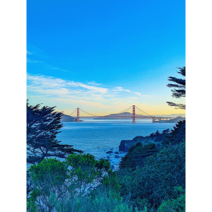 Golden Gate Bridge Land's End Morning Sunrise Avia Cosmica