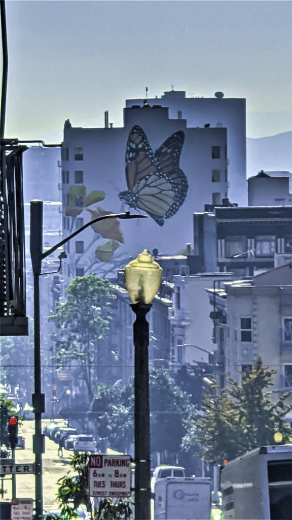 Monarch