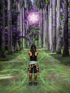 Jungle Brazil Arboretum Rio De Janeiro Psychedelic Sacred Geometry Avia Cosmica